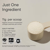 Polvo de colágeno Sports Research textura fina que facilita mezcla homogénea