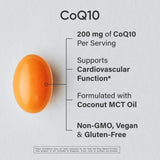 Sports Research cápsula Plantgel de cerca resaltando textura vegana