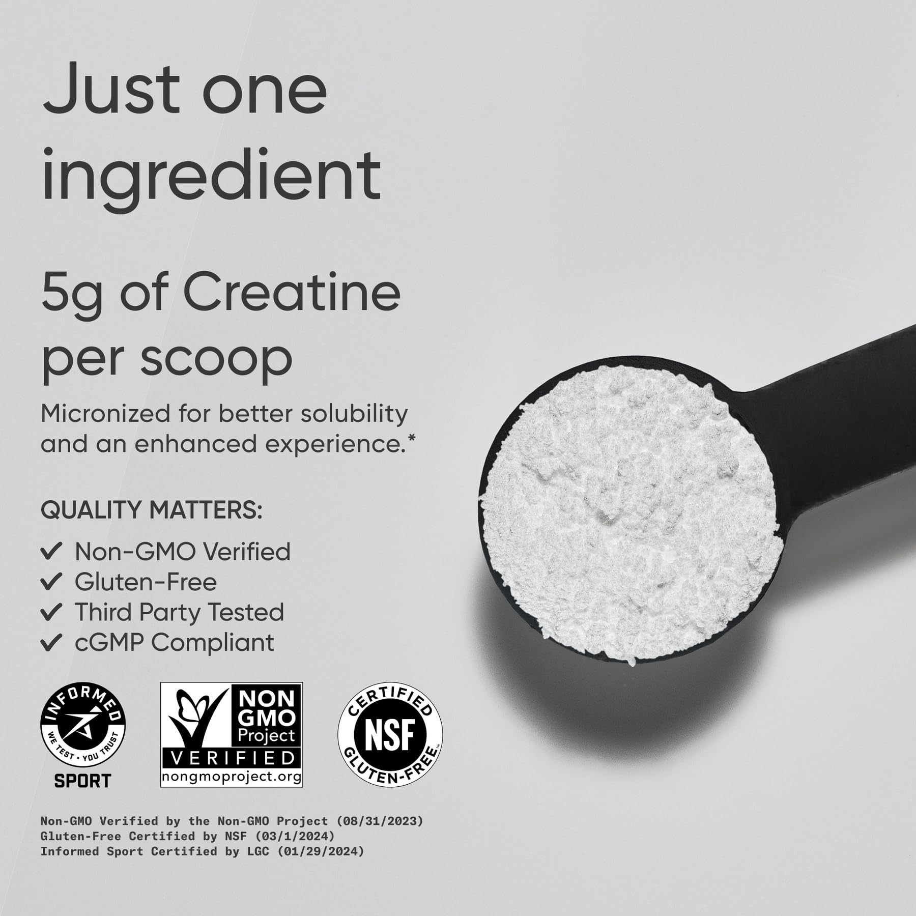 Polvo micronizado de Sports Research en primer plano para mejor disolución