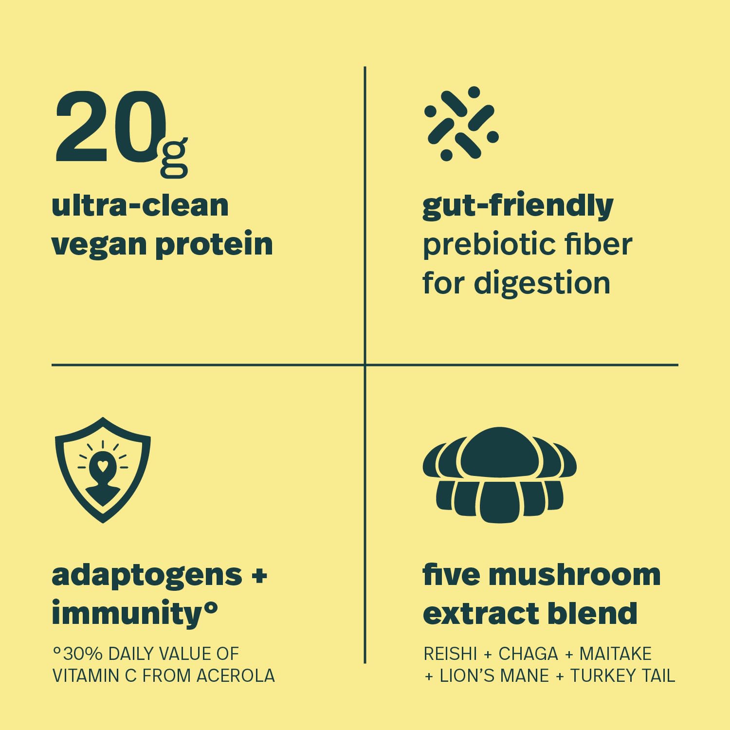 Sprout Living primer plano de la lista de ingredientes orgánicos y limpios