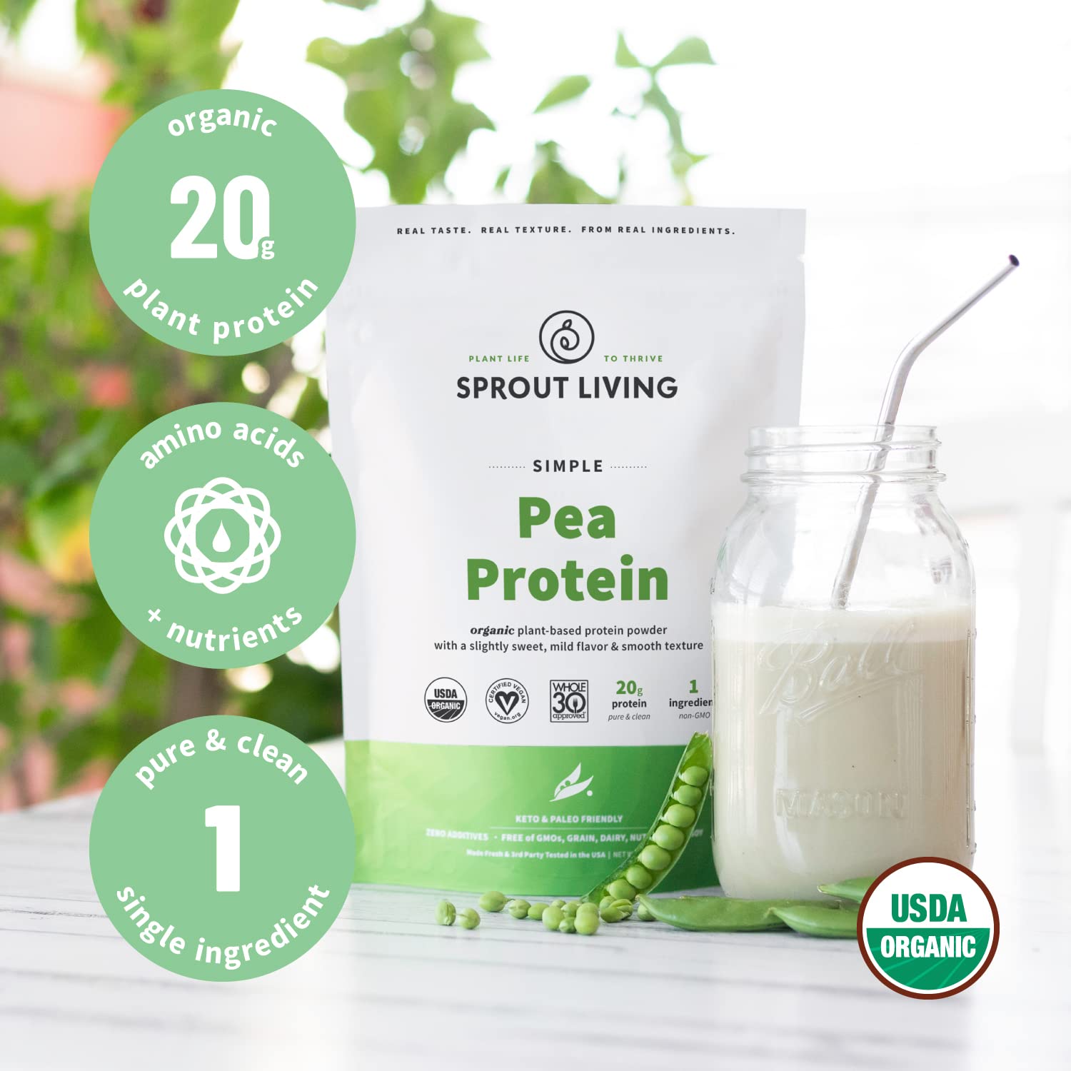 Sprout Living proteína añadida en masa horneada, beneficio de uso culinario versátil