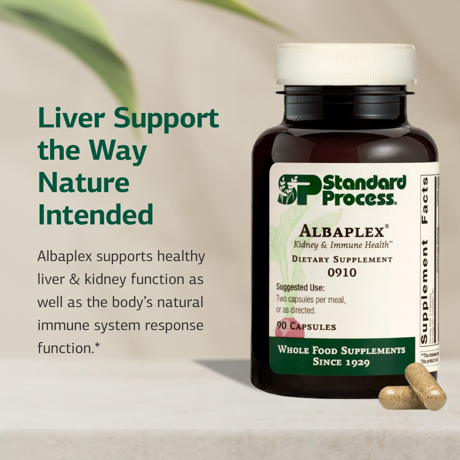 Standard Process Albaplex detalle de etiqueta con ingredientes clave
