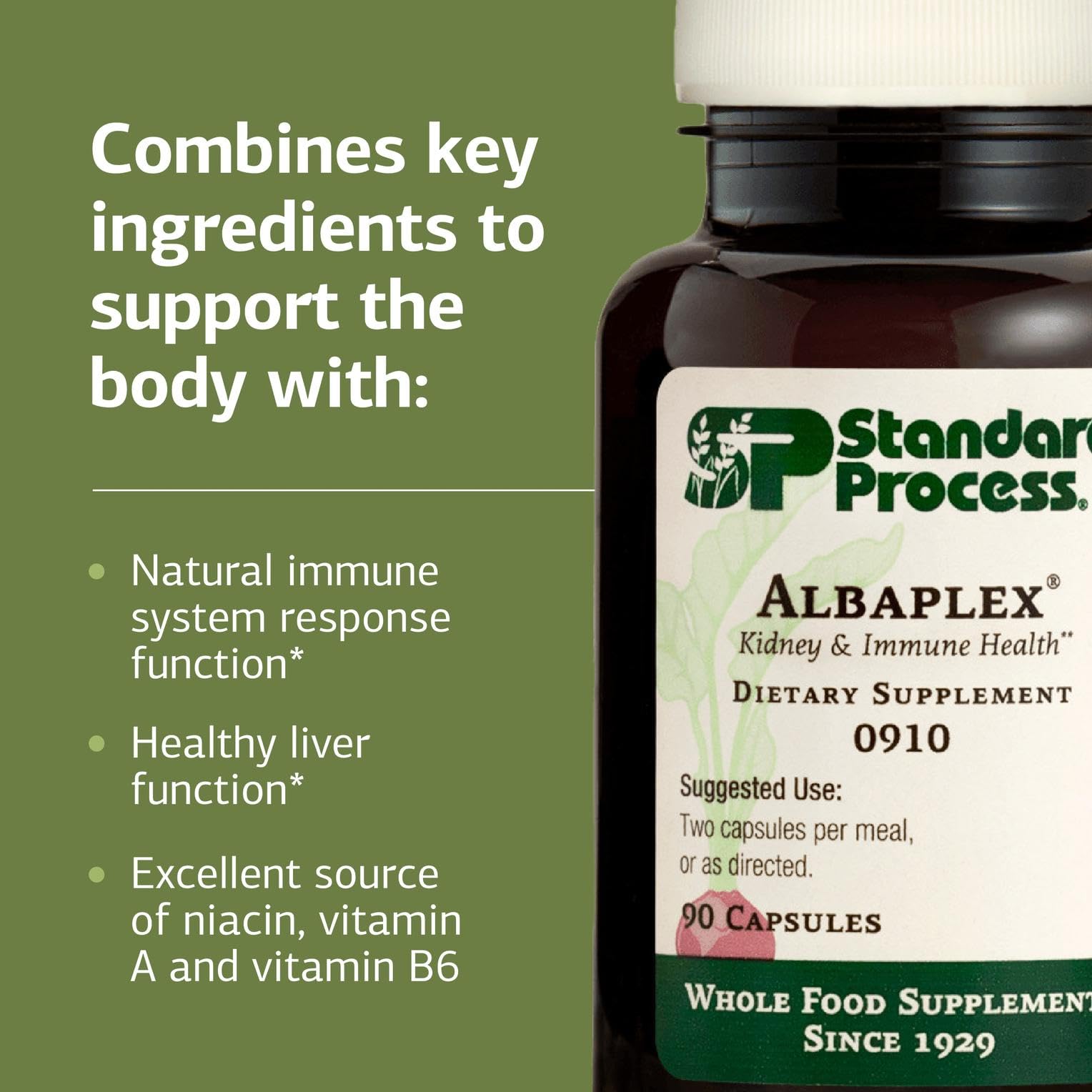 Standard Process Albaplex primer plano de textura de cápsula natural