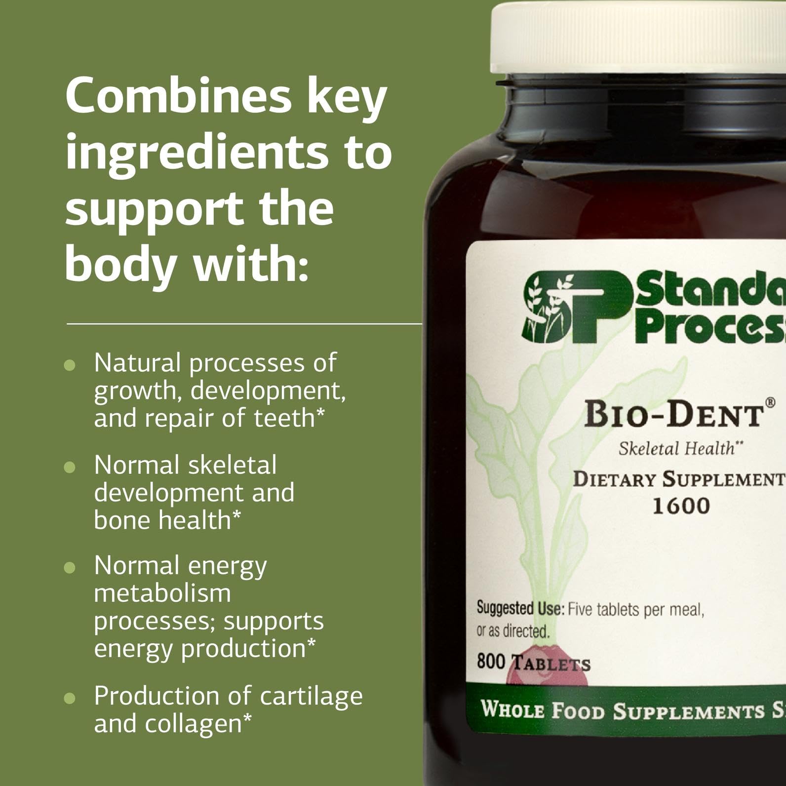 Standard Process Bio-Dent ingredientes naturales usados en la formulación