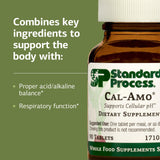 Standard Process Cal-Amo ingredientes naturales que sugieren origen alimentario