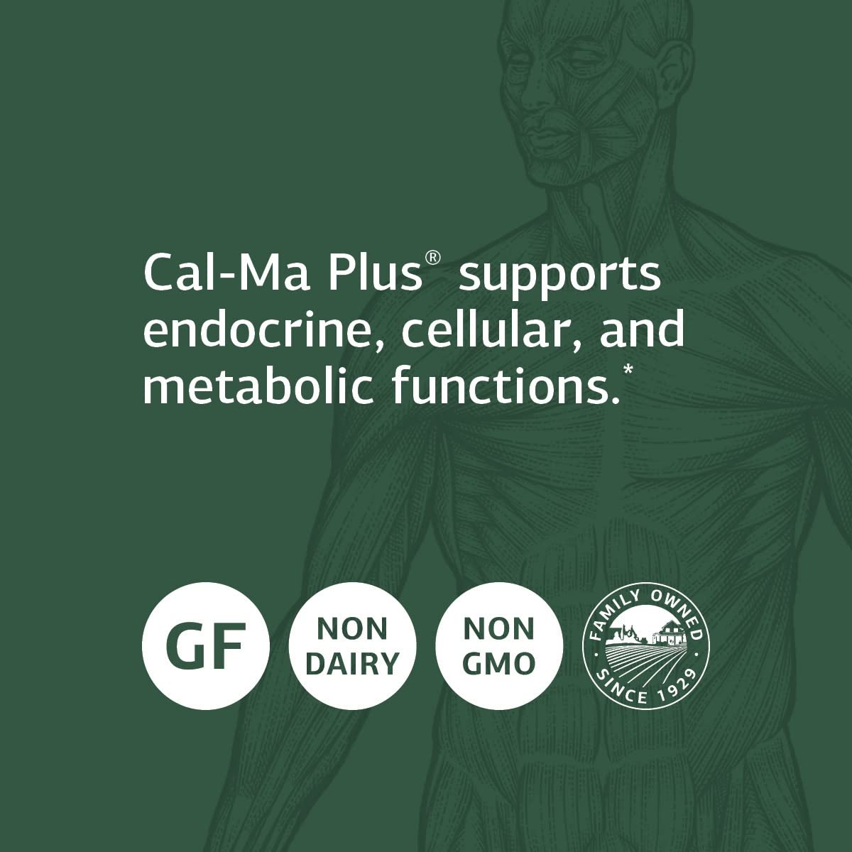 Standard Process etiqueta con lista de ingredientes y ventajas de la fórmula sin gluten
