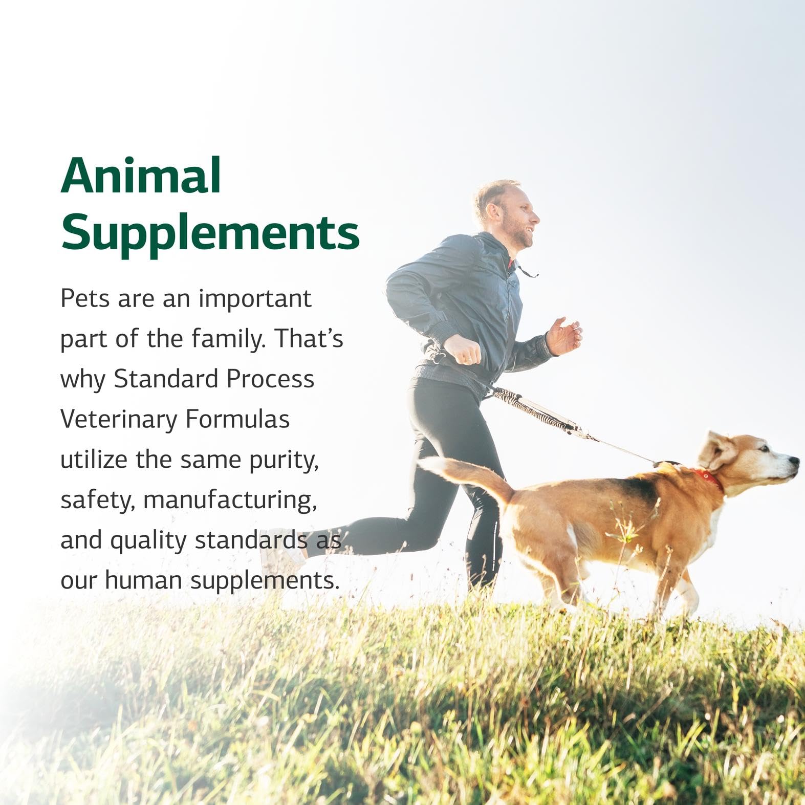 Standard Process comparación de tamaño del envase junto a un perro para escala clara