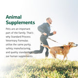Standard Process comparación de tamaño del envase junto a un perro para escala clara