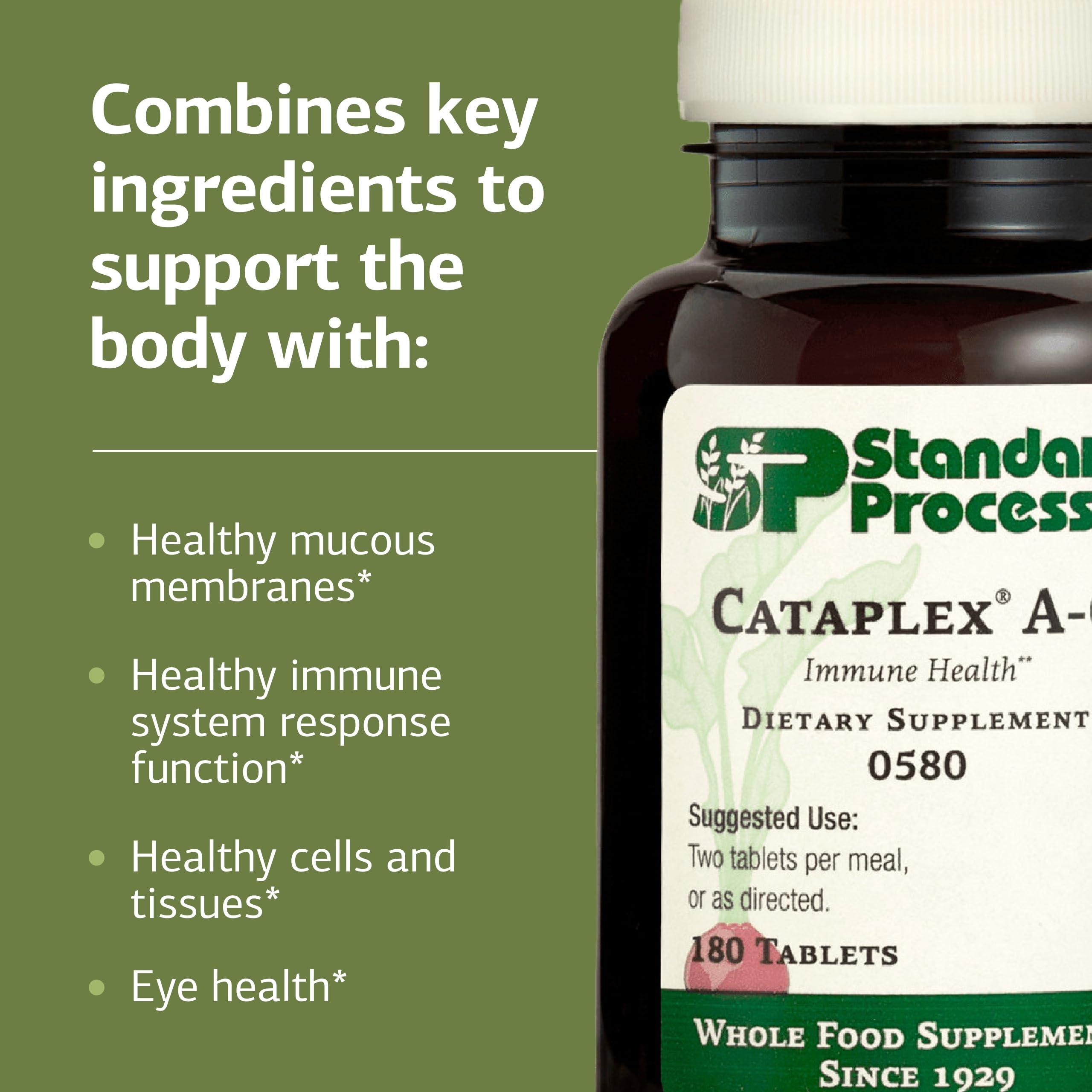 Standard Process primer plano de la textura de la tableta para confianza en calidad