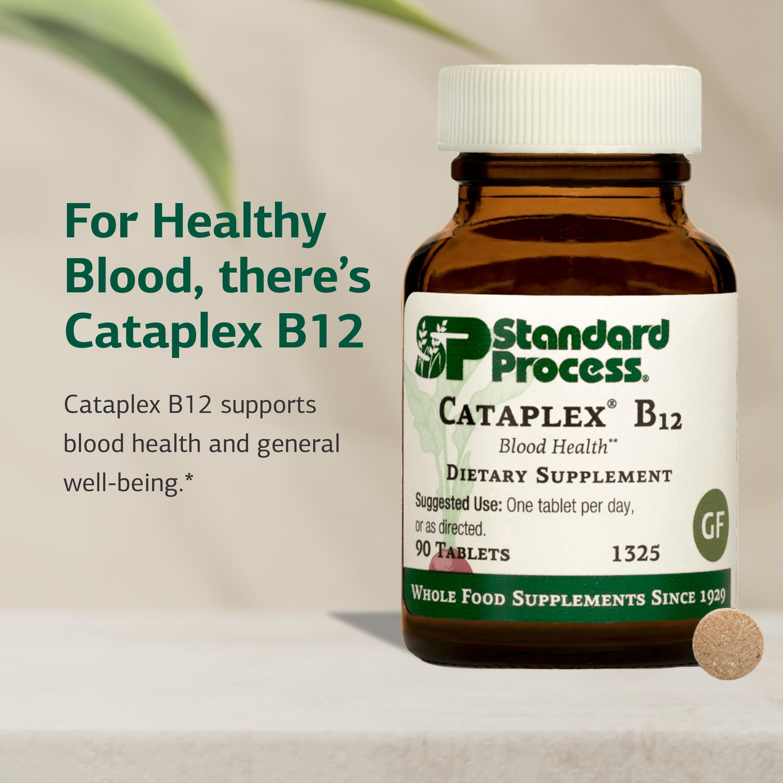 Tabletas Cataplex B12 de Standard Process en mano para mostrar escala y facilidad de uso