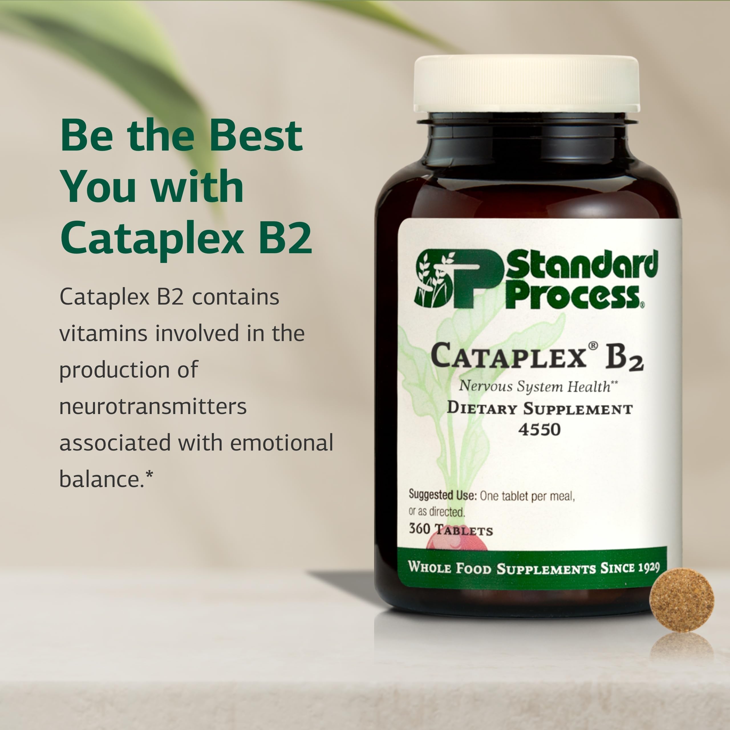 Standard Process Inc. etiqueta de Cataplex B2 mostrando información nutricional clave