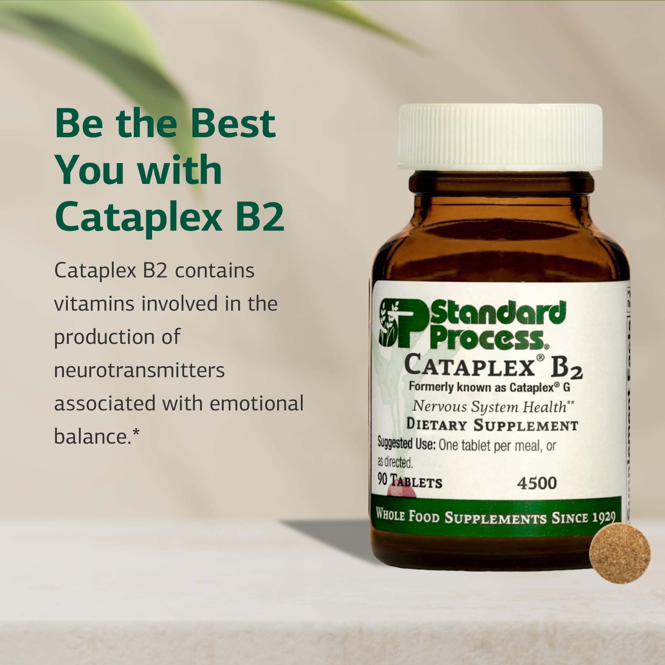 Standard Process Cataplex B2 tabletas en mano para comparar tamaño