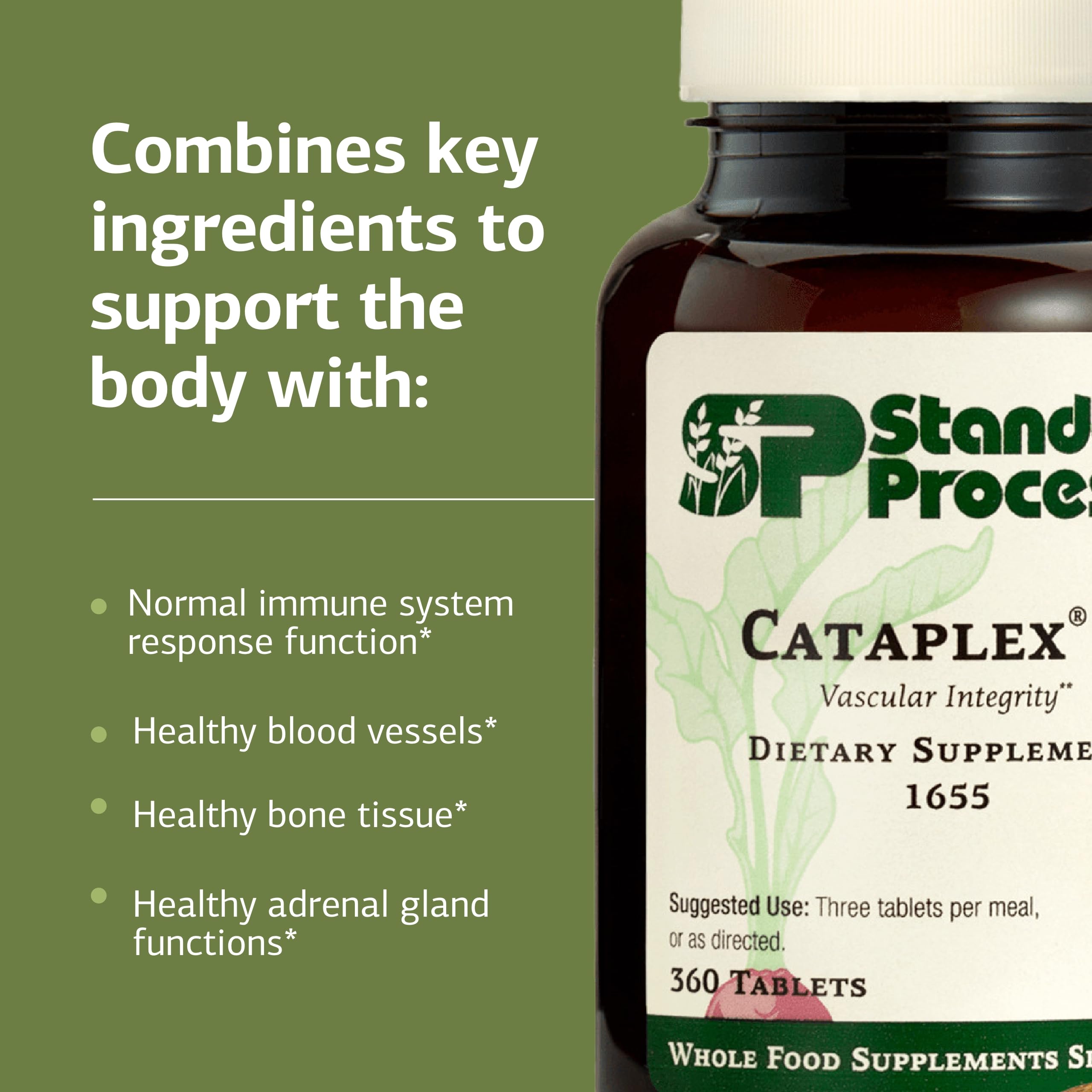 Standard Process Cataplex C tabletas en la palma de la mano indicando tamaño práctico