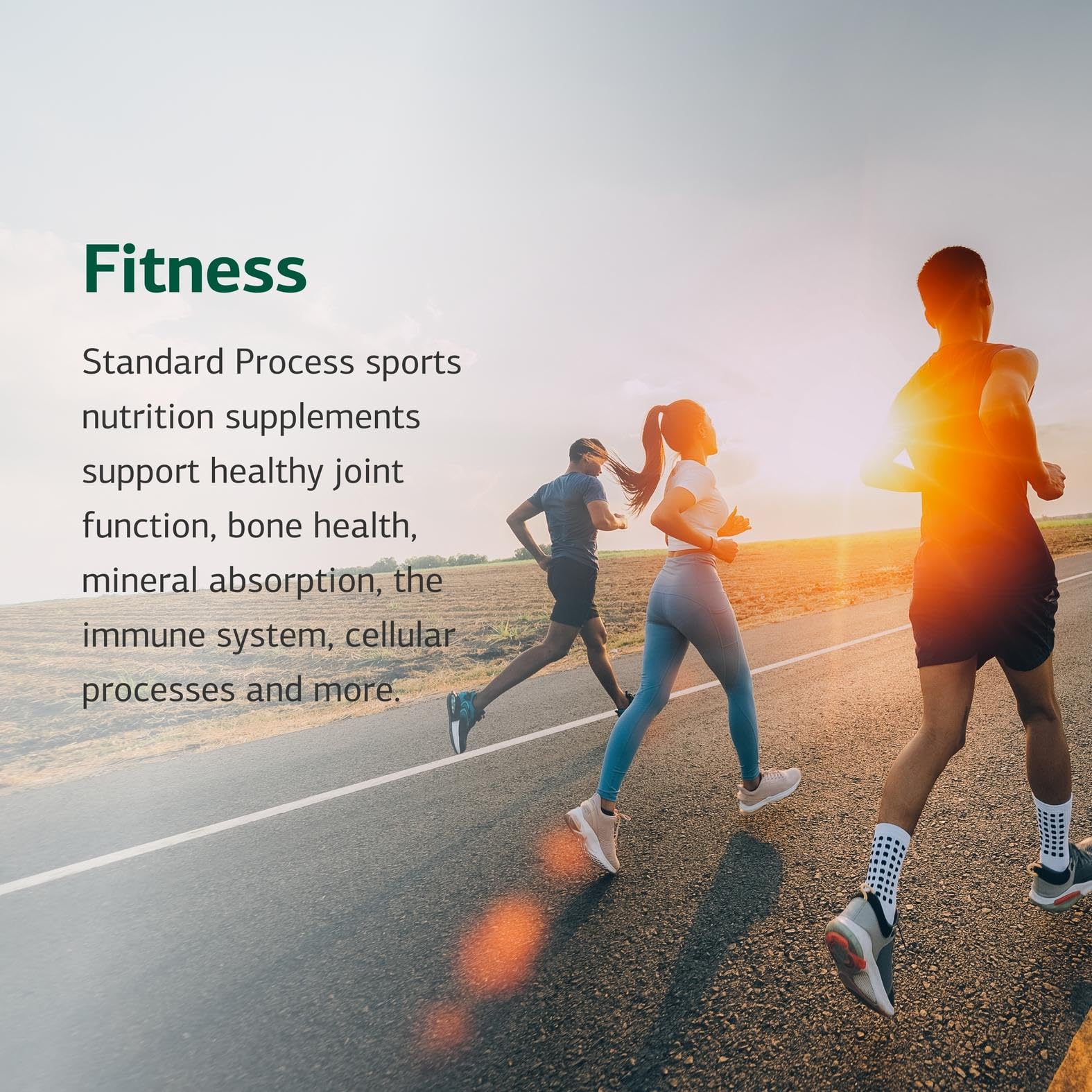 Standard Process Cataplex E2 frasco sobre fondo natural transmitiendo origen alimentario