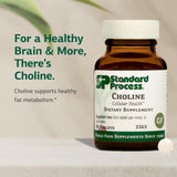 Standard Process Choline bote abierto con tabletas visibles listo para uso