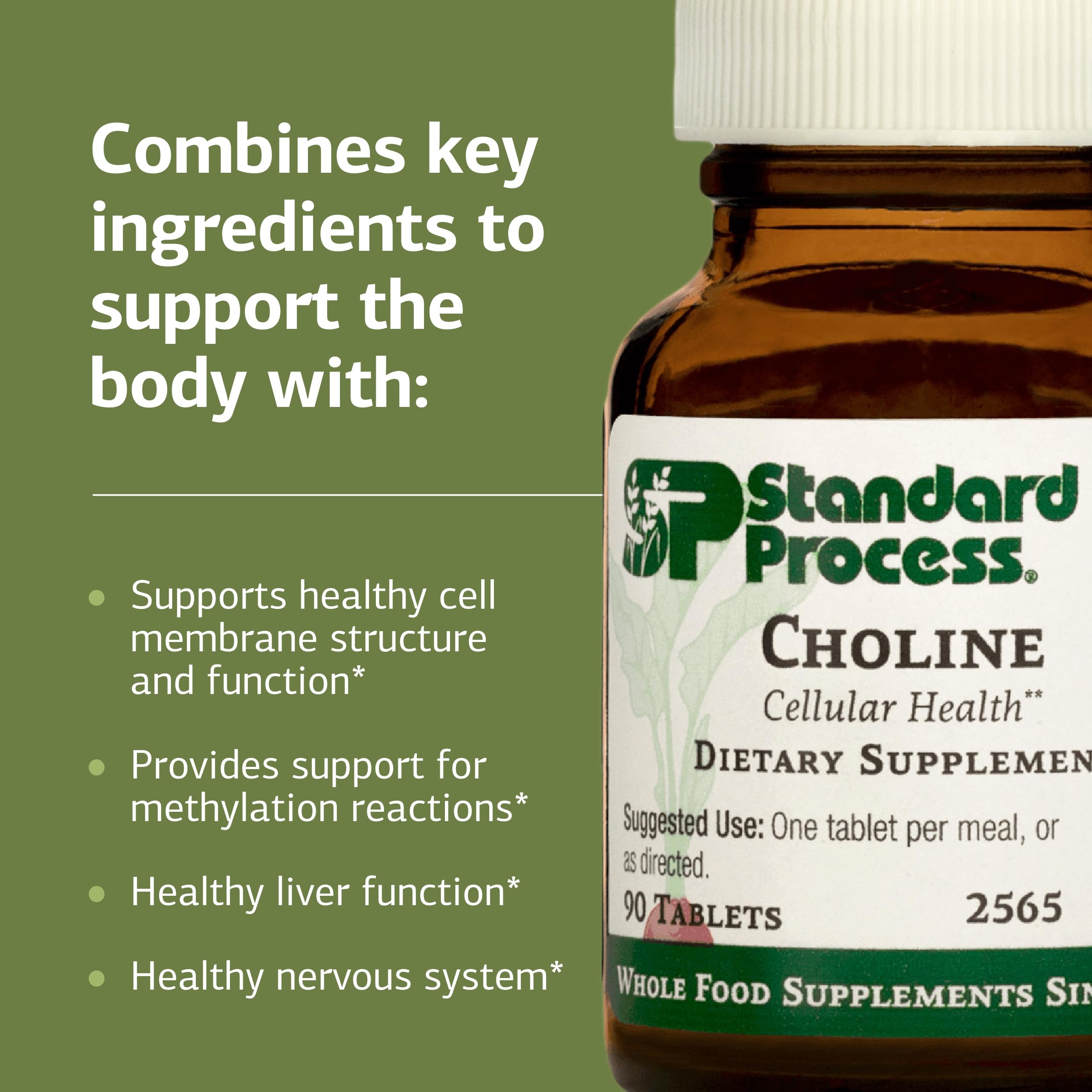 Standard Process Choline comparación de tamaño en mano para referencia