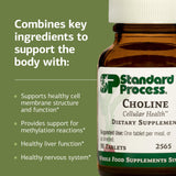 Standard Process Choline comparación de tamaño en mano para referencia