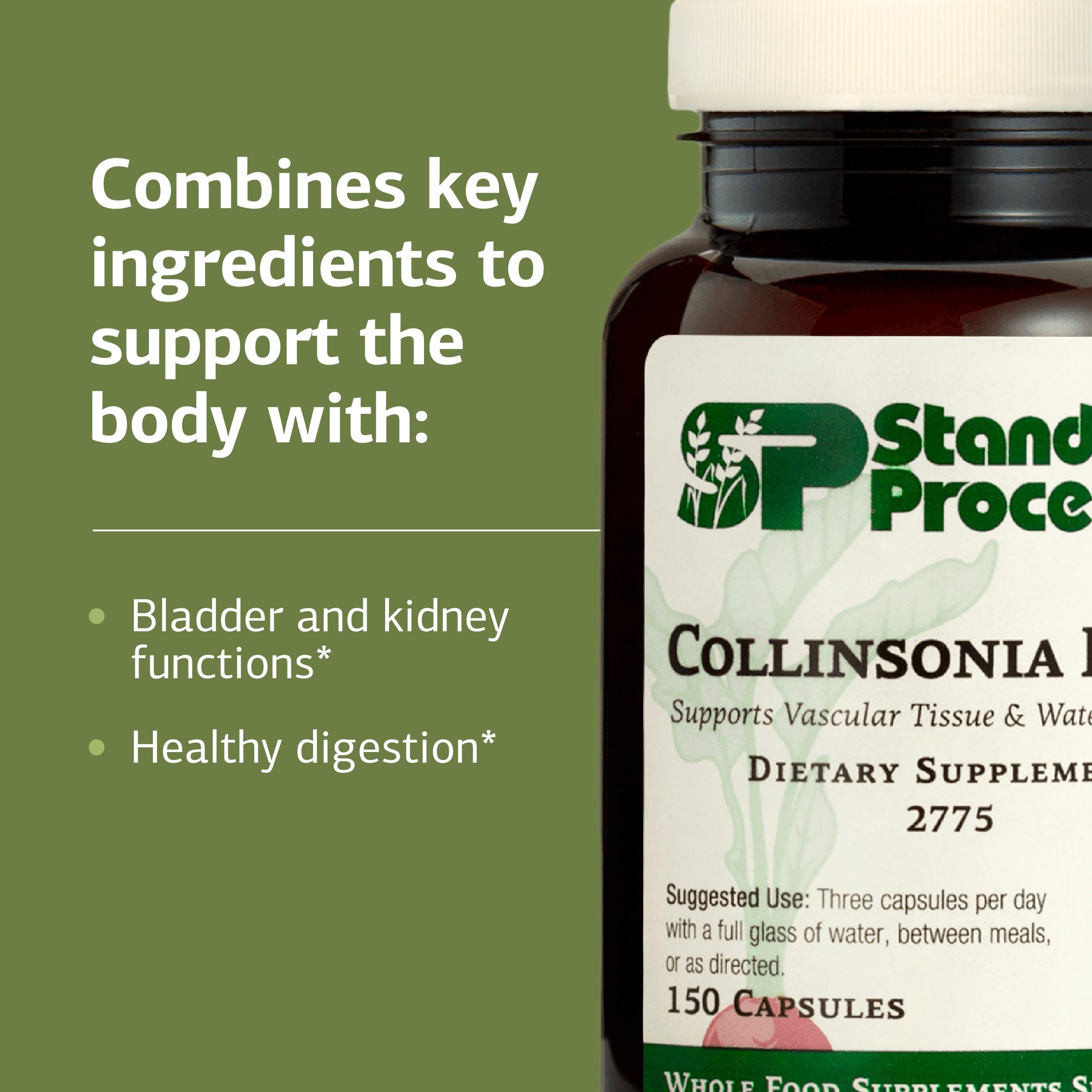 Standard Process raíz de collinsonia como materia prima para apoyo vascular