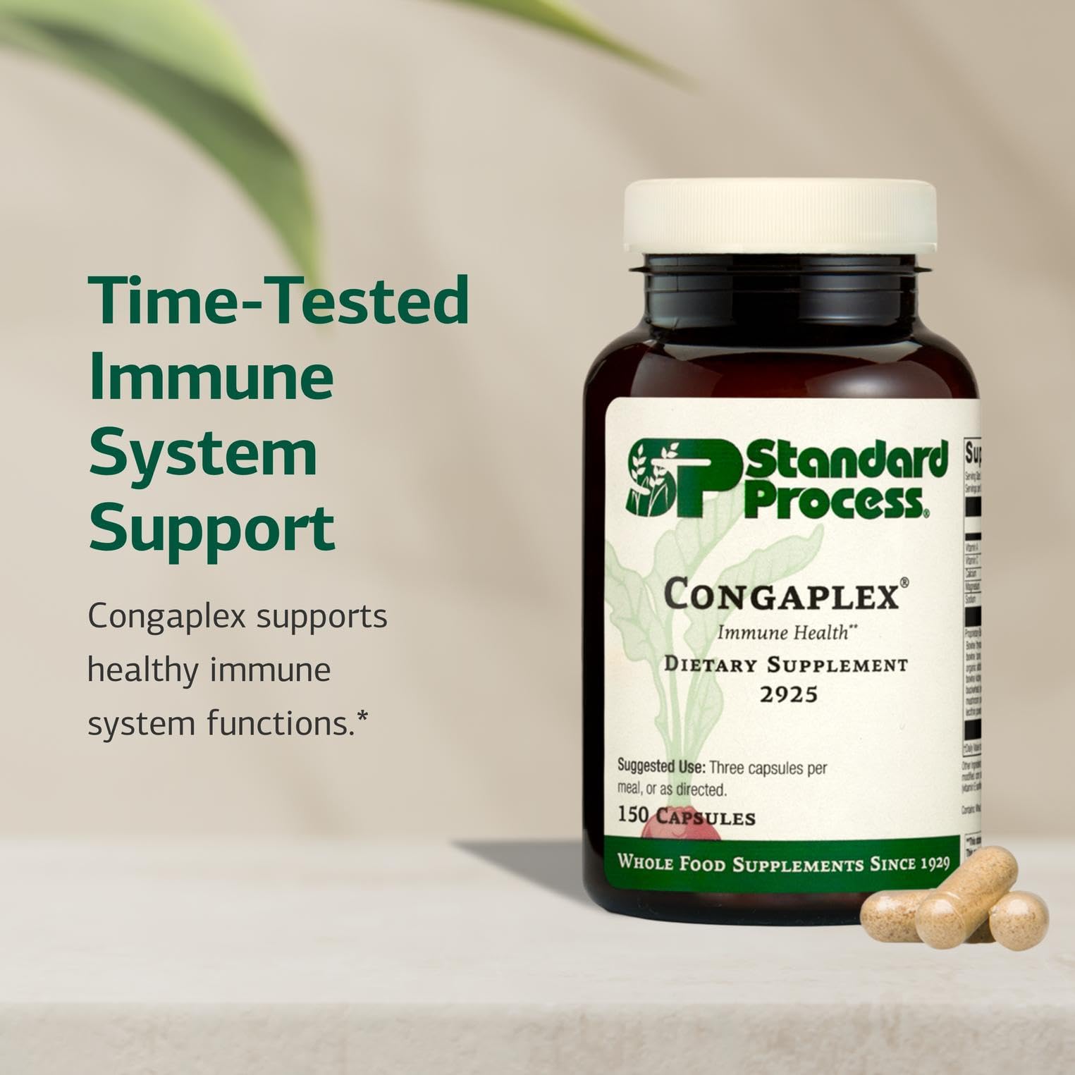 Standard Process Congaplex polvo y textura que muestra ingredientes naturales y limpieza de la fórmula