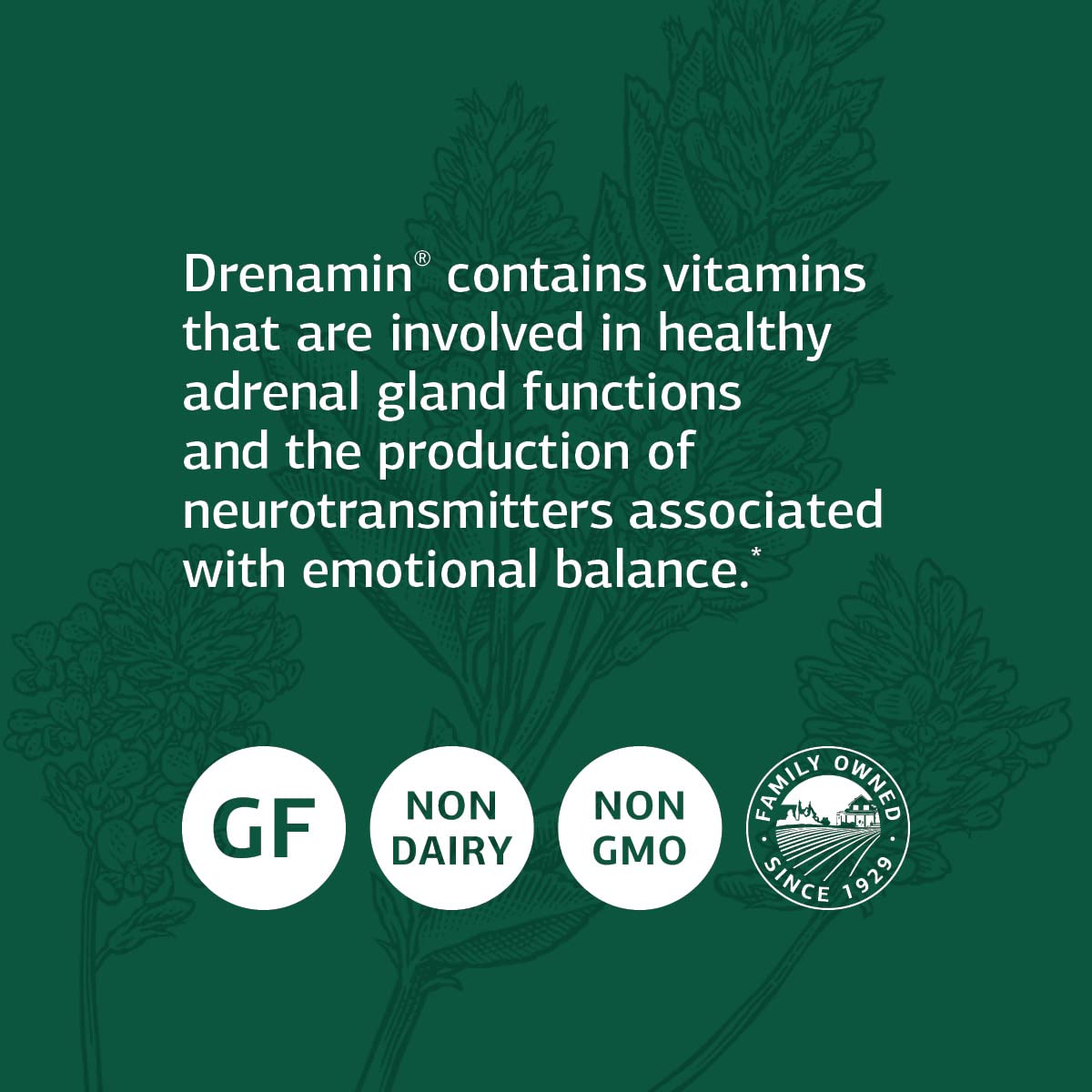 Standard Process Drenamin usado junto a alimentos demostrando integración diaria
