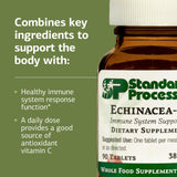 Standard Process Echinacea-C tableta en mano ilustrando facilidad de uso