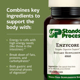 Standard Process Enzycore cápsulas en la mano para comparar tamaño y dosificación