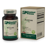 Standard Process Enzycore persona tomando cápsula en estilo de vida saludable