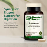 Standard Process Enzycore polvo de kale y remolacha que apoya la digestión