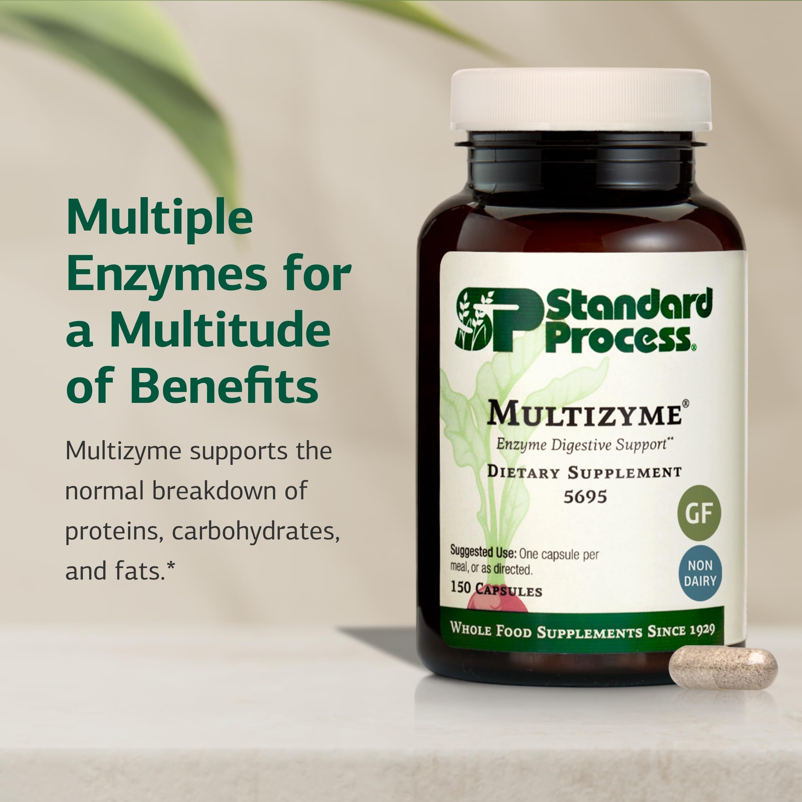 Ingredientes clave de Multizyme: bromelina, amilasa y lipasa según Standard Process
