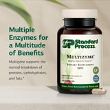 Ingredientes clave de Multizyme: bromelina, amilasa y lipasa según Standard Process