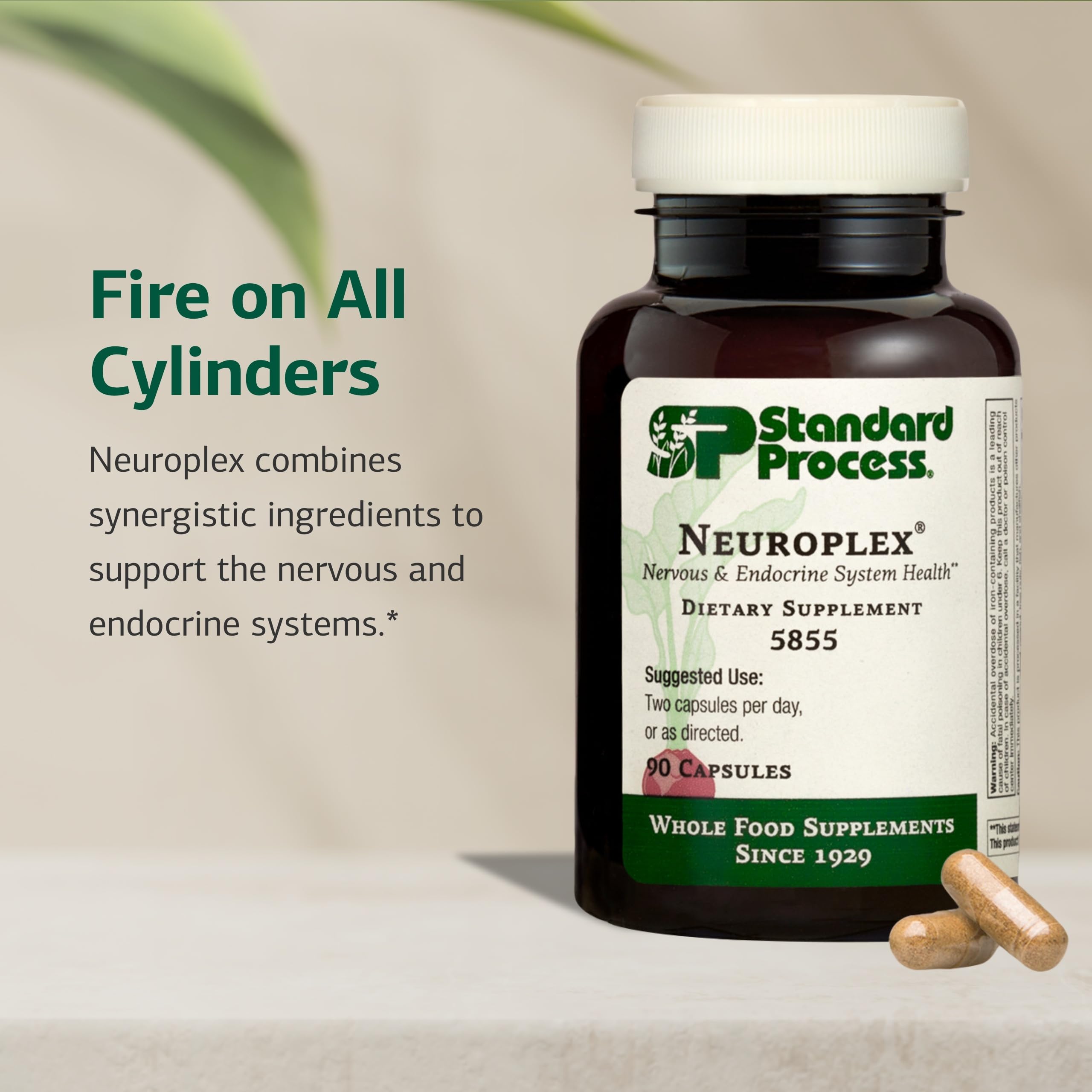 Standard Process Neuroplex envase en mano para apreciar tamaño y cantidad