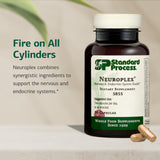 Standard Process Neuroplex envase en mano para apreciar tamaño y cantidad