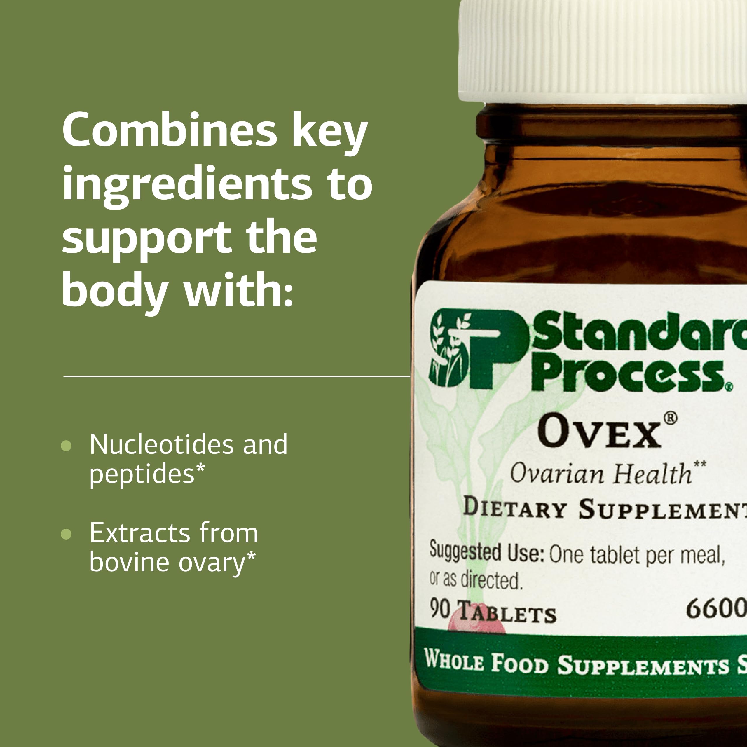 Standard Process Ovex botella en mano para comparar tamaño y escala
