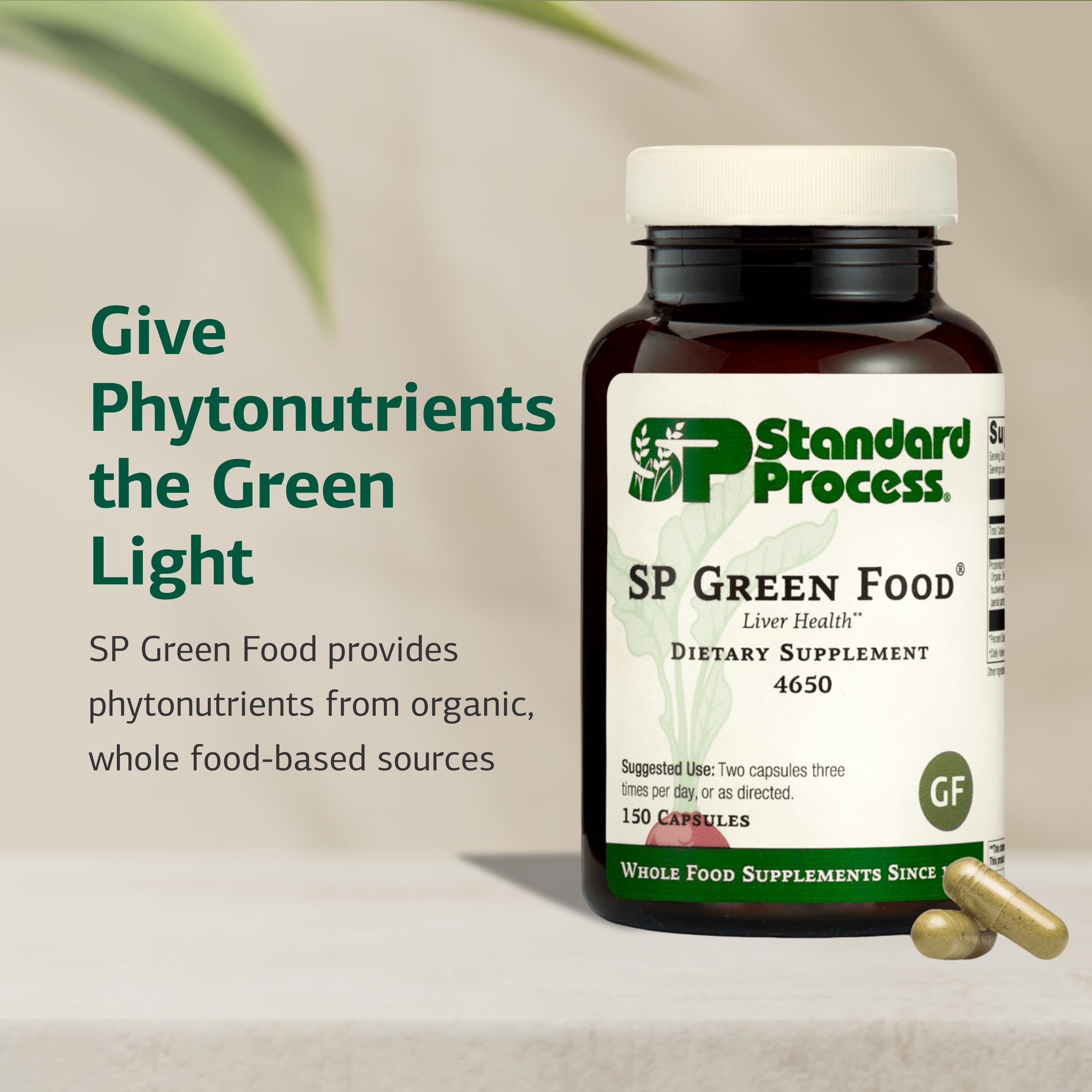 Standard Process polvo de SP Green Food textura fina que facilita la encapsulación