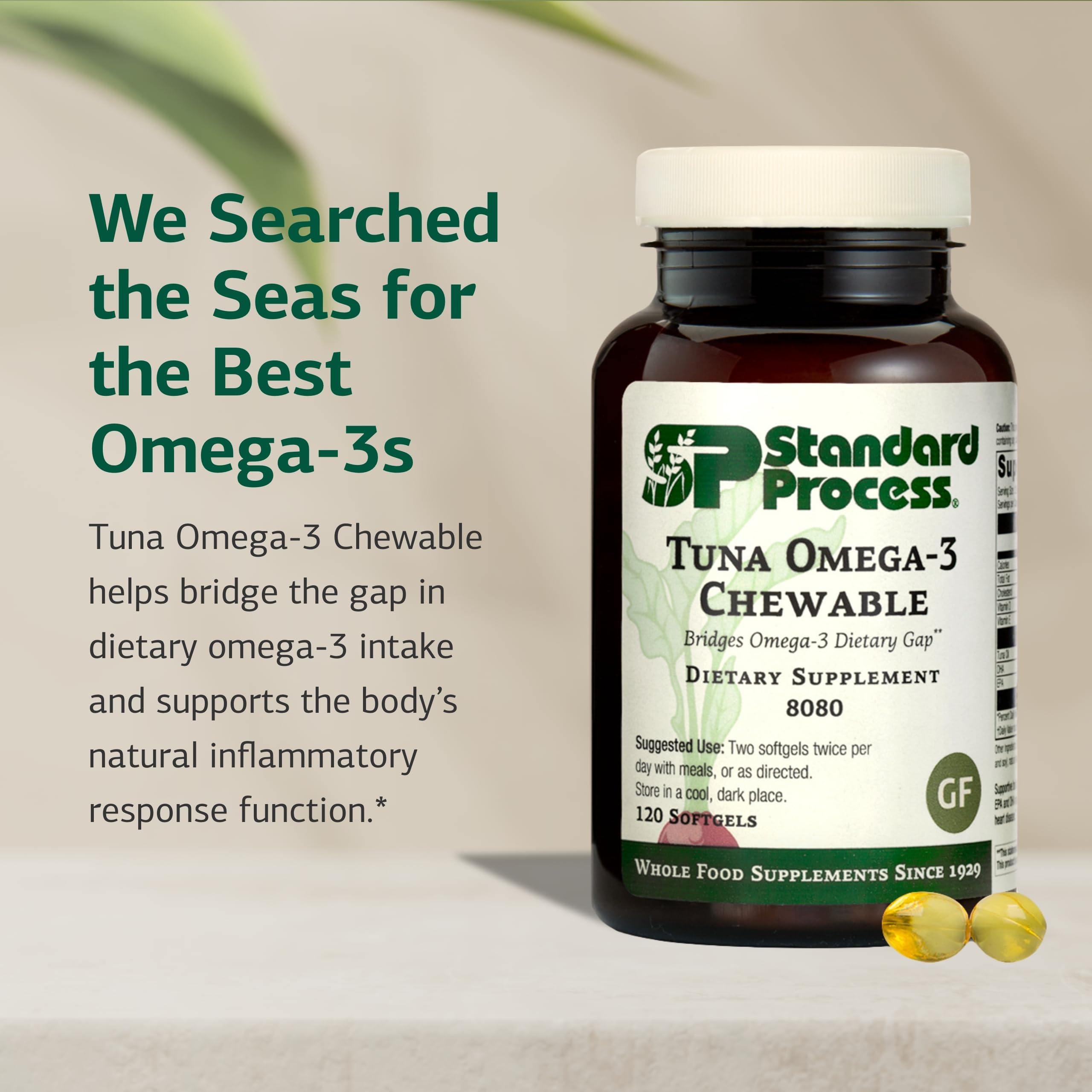 Standard Process etiqueta en primer plano destacando DHA, vitamina E y sin gluten