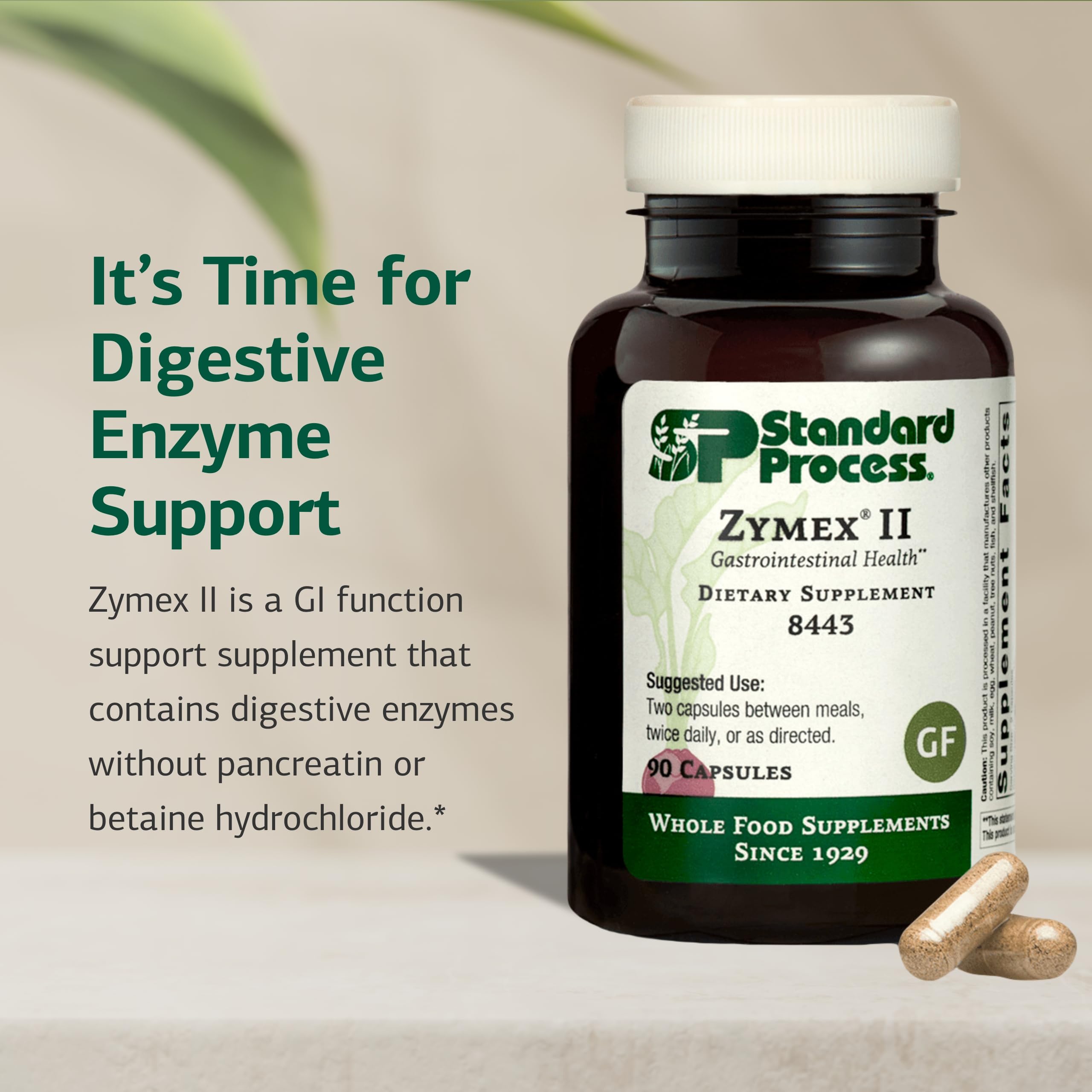 Standard Process Zymex II ingredientes naturales resaltando origen alimentario