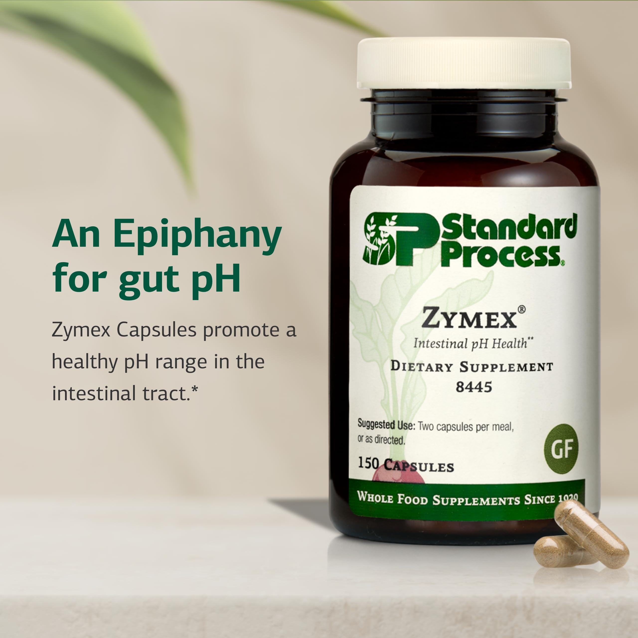 Standard Process Zymex polvo de ingredientes, visual de origen vegetal y pureza