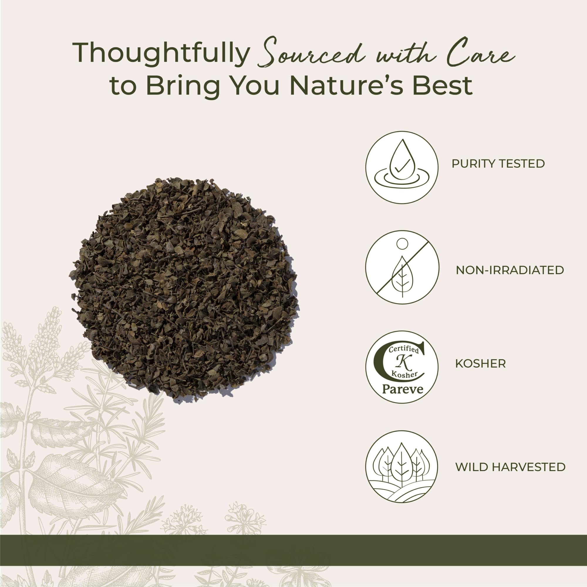 Comparación de tamaño de la hoja de chaparral Starwest Botanicals en mano