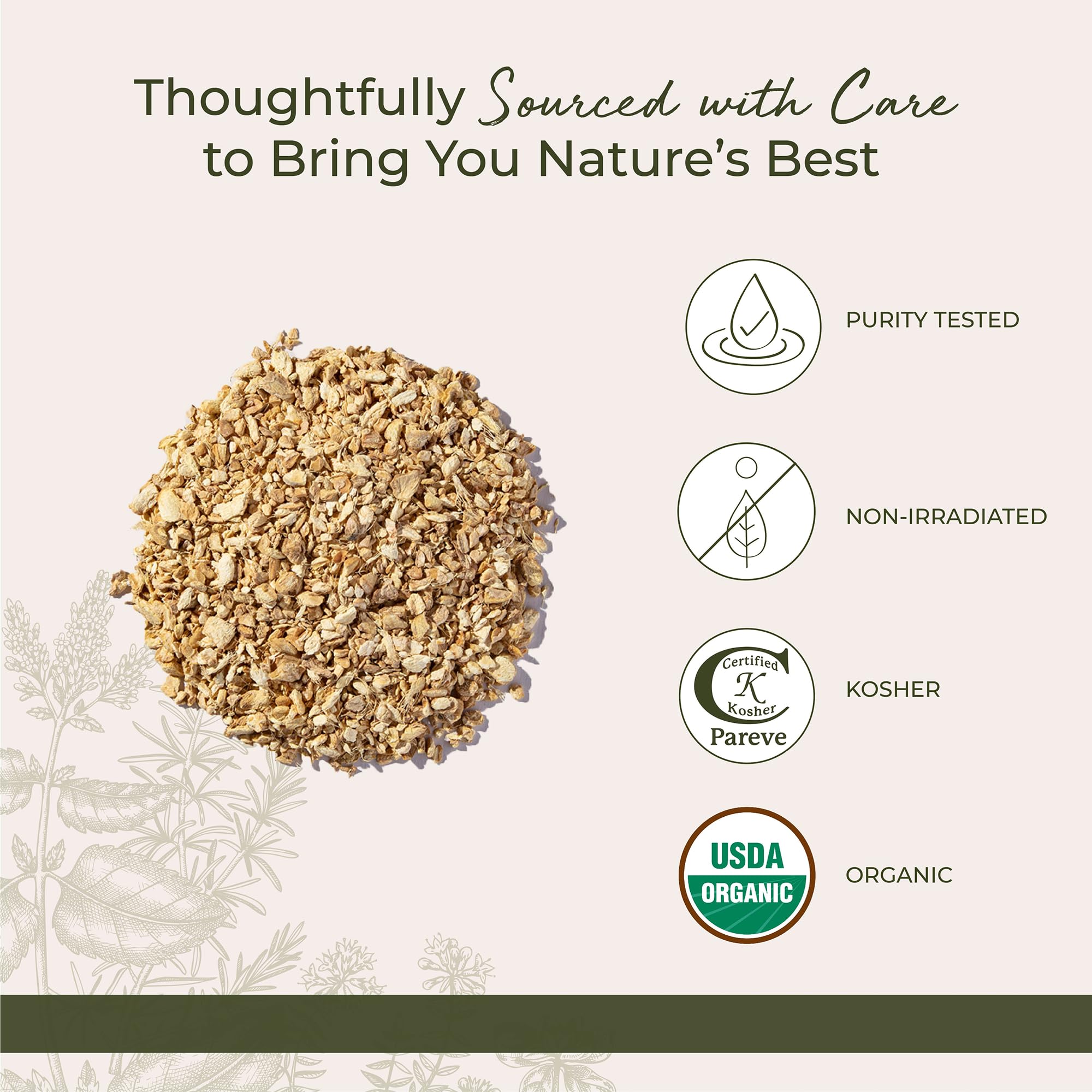 Starwest Botanicals jengibre infusionándose en taza de té para sabor reconfortante