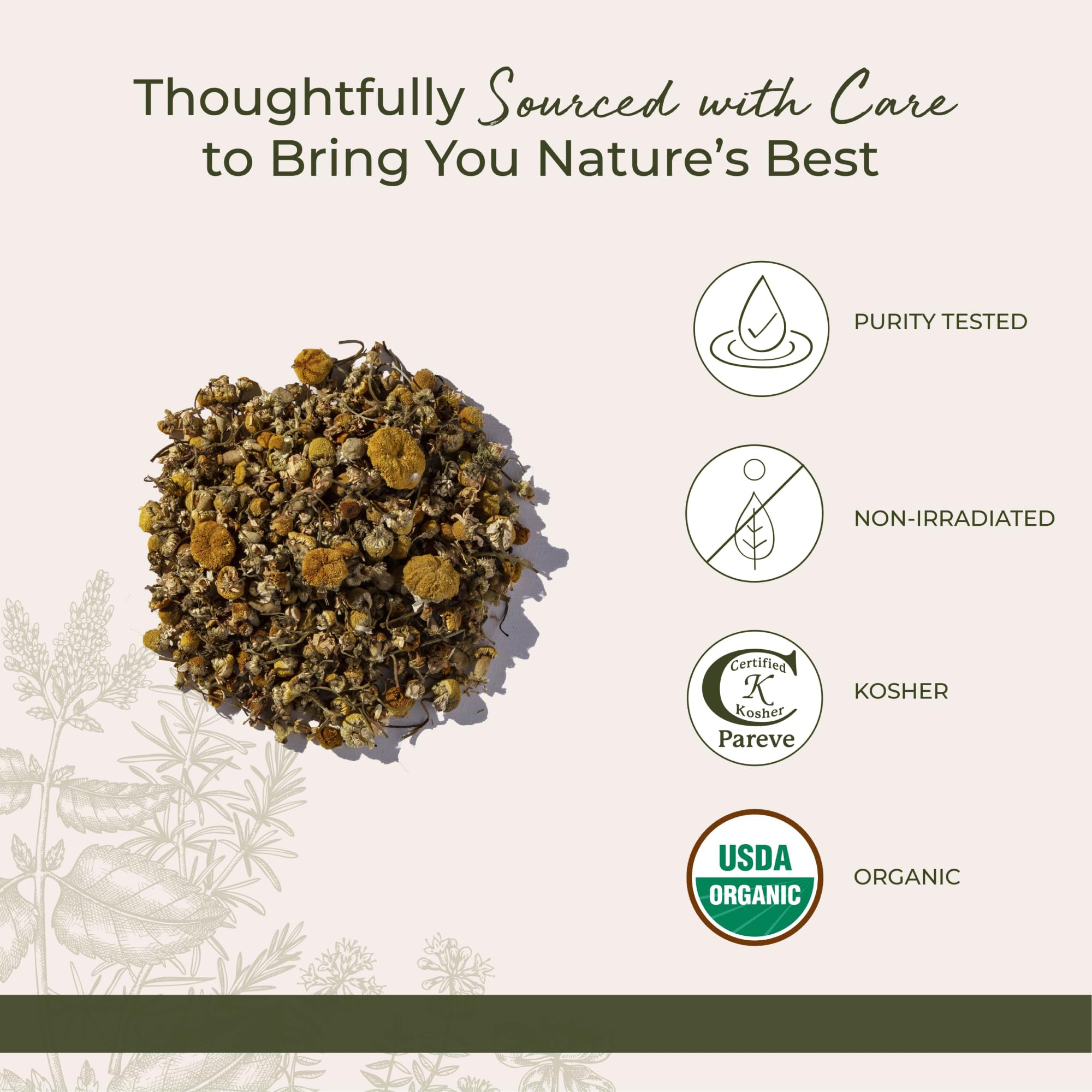 Starwest Botanicals frasco de aceite macerado con manzanilla, para cosmética casera
