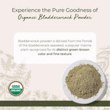 Starwest Botanicals primer plano del polvo de bladderwrack mostrando textura fina y aroma
