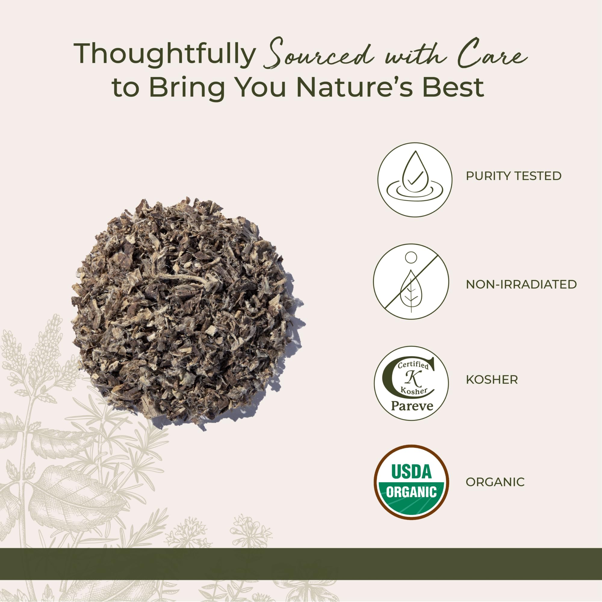 Starwest Botanicals raíz en taza de infusión lista para preparar bebidas reconfortantes