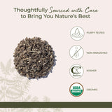 Starwest Botanicals raíz en taza de infusión lista para preparar bebidas reconfortantes