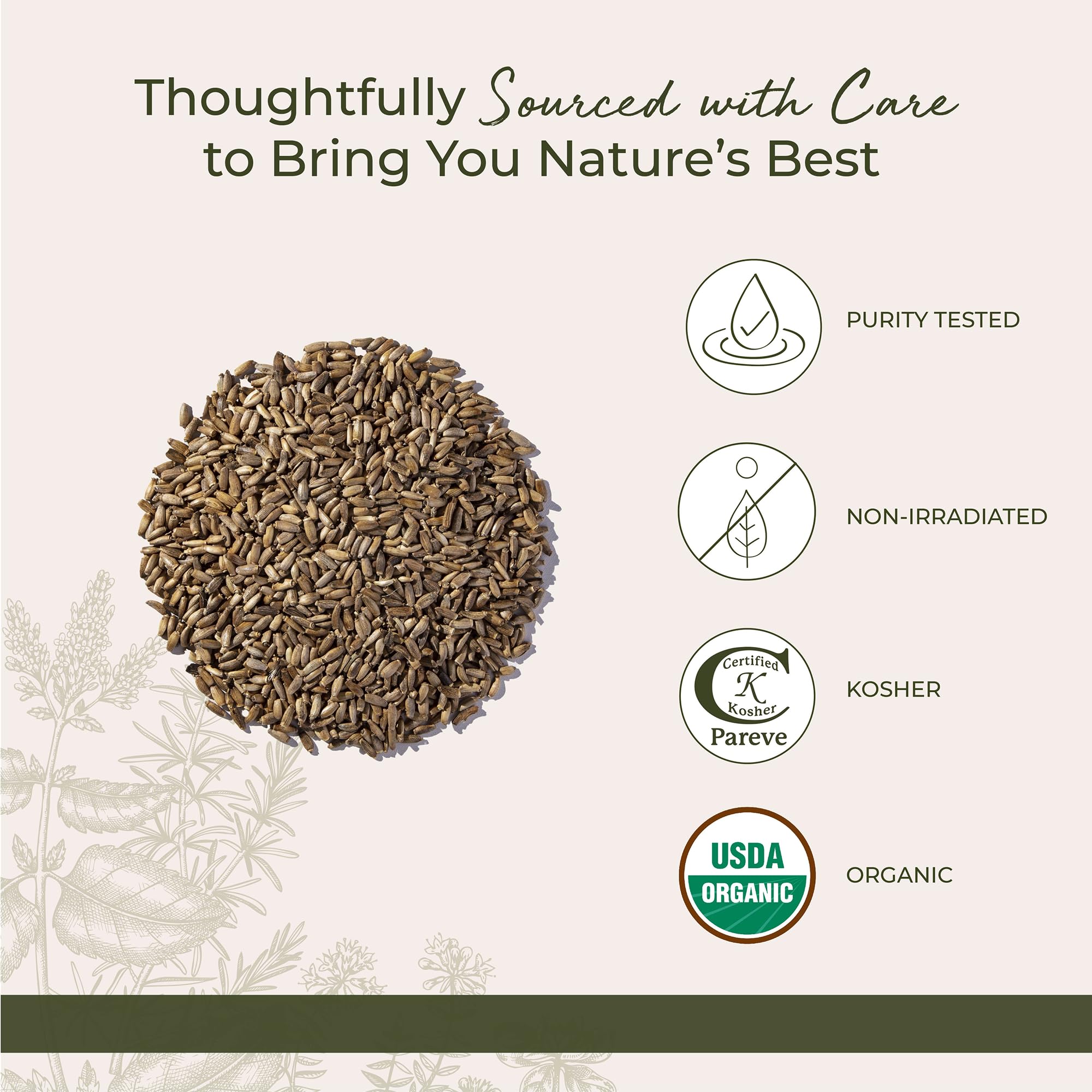 Starwest Botanicals semillas añadidas a batido, aporta textura y sabor nutritivo