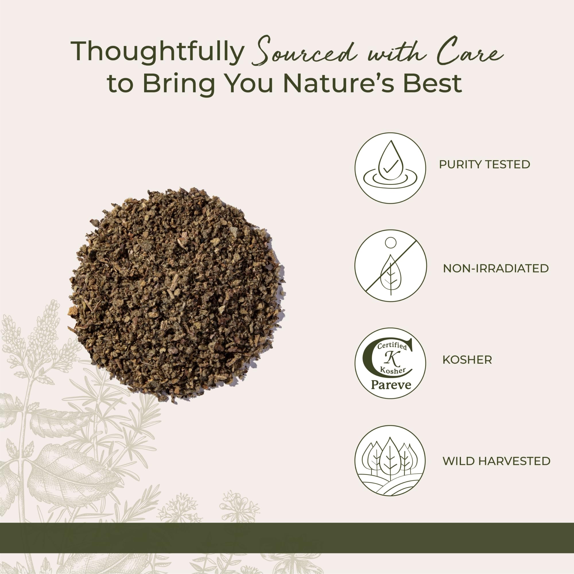 Starwest Botanicals infusión de gordolobo lista en taza para preparación casera
