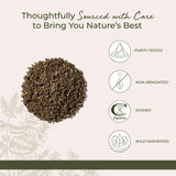 Starwest Botanicals infusión de gordolobo lista en taza para preparación casera