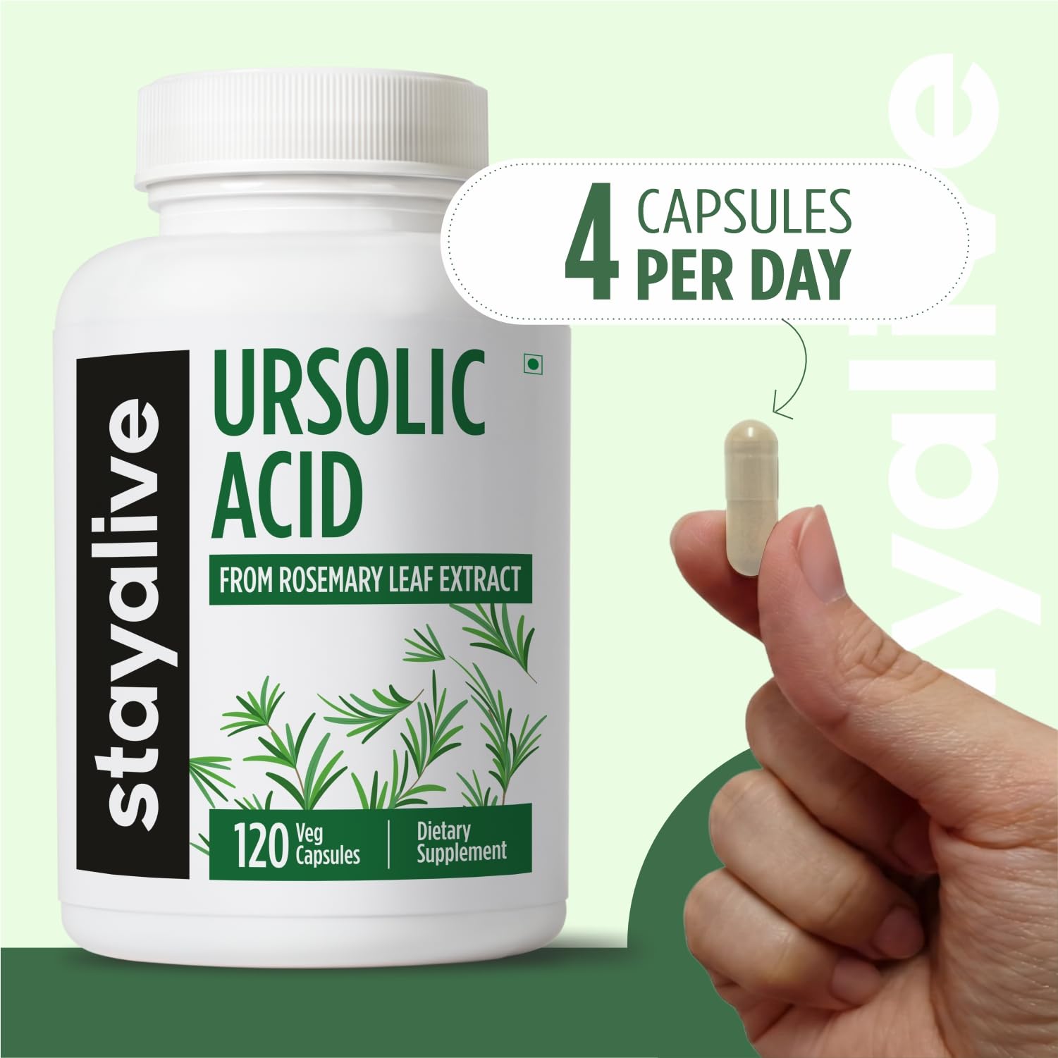 STAY ALIVE hojas de romero frescas como fuente natural del extracto