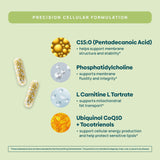 Stay-Well Naturals cápsula abierta con textura micro-gránulo fácil de tragar