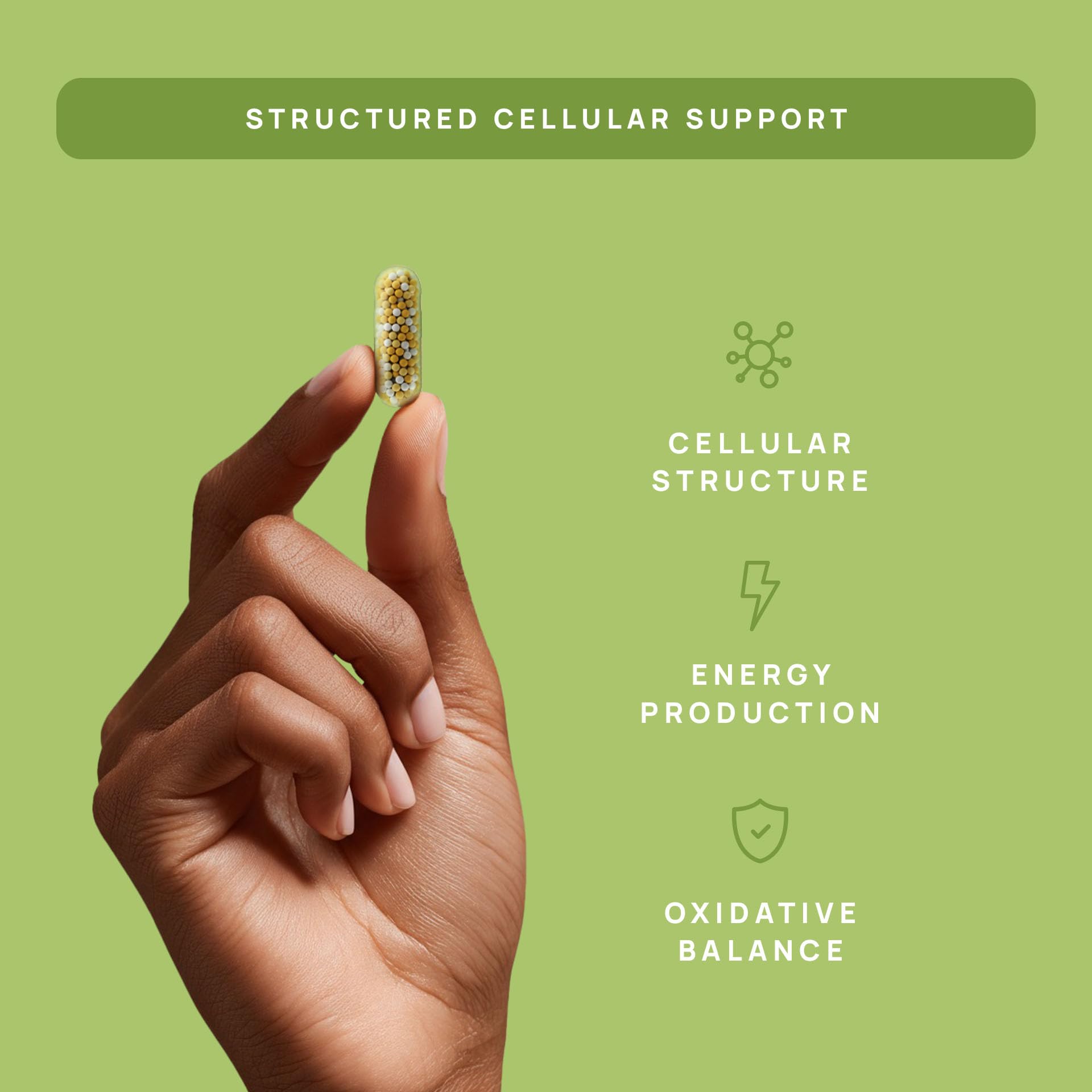 Stay-Well Naturals control de laboratorio garantizando pureza y potencia