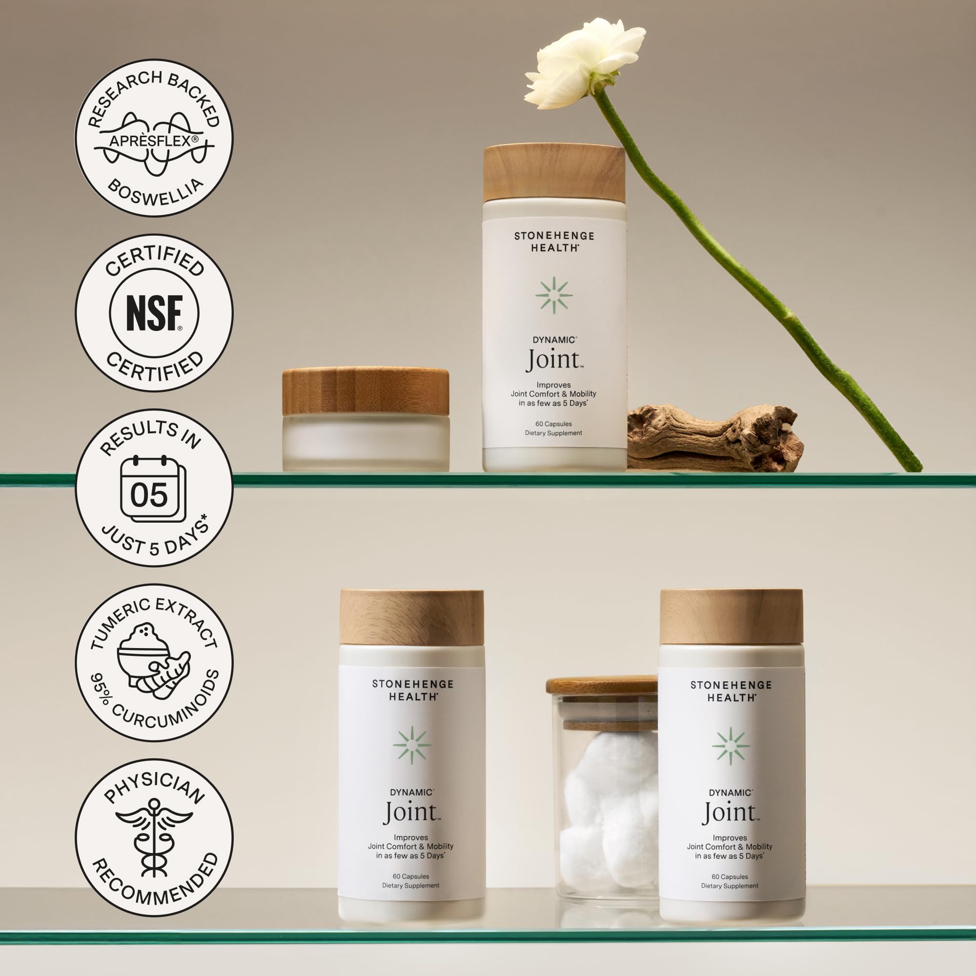 Stonehenge Health en ambiente activo, sugiere apoyo para movilidad cotidiana